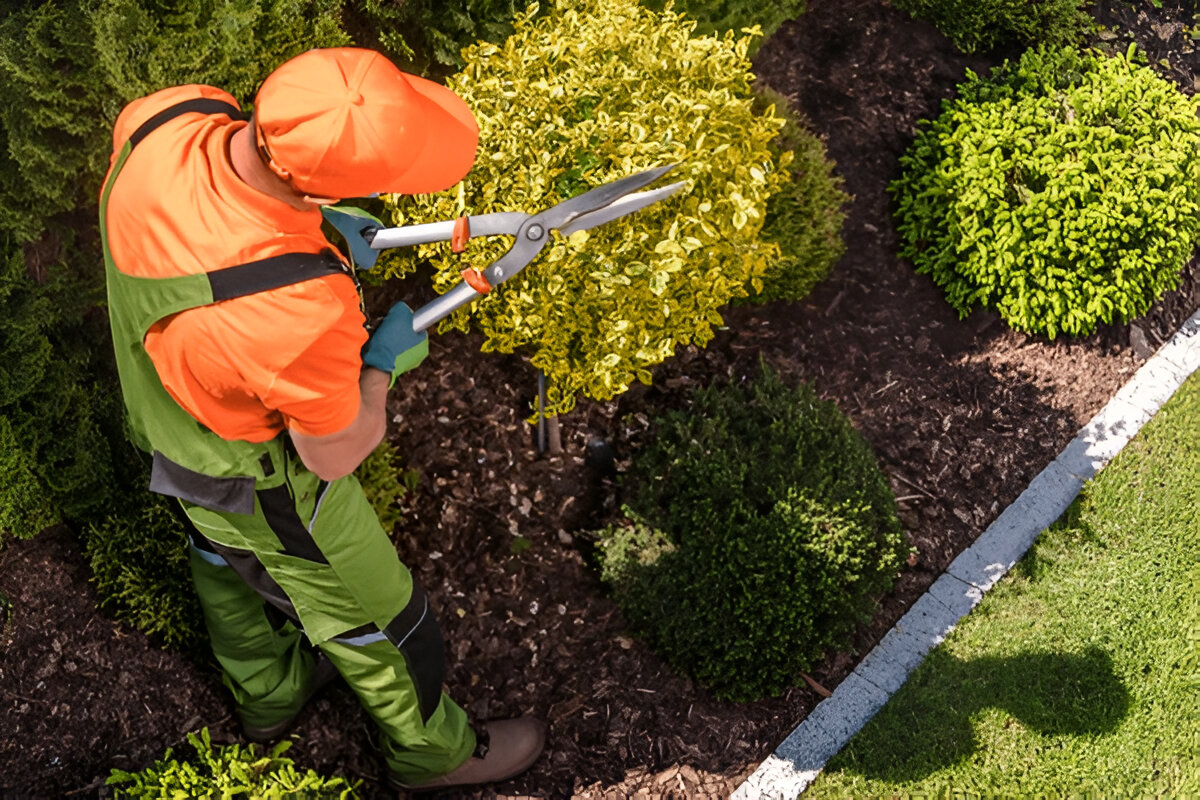 Landscaping